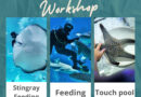 Enjoy with our Workshop all zone everyday at Aquaria Phuket