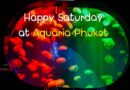 Happy Saturday at Aquaria Phuket