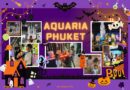 Halloween Day 2024 Aquaria Phuket