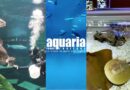 Let’s​ have​ fun​ and​ impress​ every​ zone​ in​ Aquaria Phuket