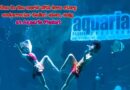 One in the world with love story underwater Ballet show, only at Aquaria Phuket โชว์เรื่องราวความรักแบบฟินๆที่เดียวในโลก ที่อควาเรียภูเก็ต ชั้น B1 เซ็นทรัลภูเก็ต ฟลอเรสต้า