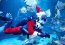 Let’s​ to​ Celebrate​ for​ Christmas​ at​ Aquaria​ Phuket