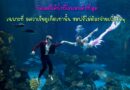 Underwater Ballet show only at Aquaria Phuket บัลเลต์ใต้น้ำที่โรแมนติกที่สุด เฉพาะที่ อควาเรียภูเก็ตเท่านั้น ชมฟรีไม่ต้องจ่ายเพิ่มใดๆ เจอกันที่อควาเรียภูเก็ต ชั้น B1 เซ็นทรัลฟลอเรสต้า