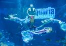 โชว์นางเงือกสุดน่าทึ่งที่ Aquaria Phuket ชั้น B1 เซ็นทรัลภูเก็ตฟลอเรสต้า