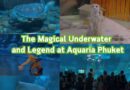 The Magical Underwater and Legend at Aquaria Phuket